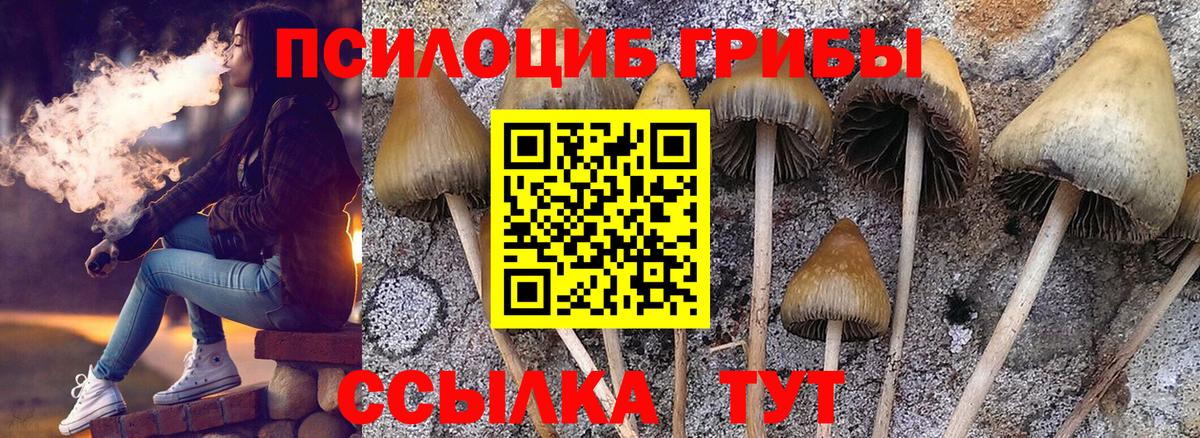 Псилоцибиновые грибы прущие грибы  Вход с VPN  Александров 