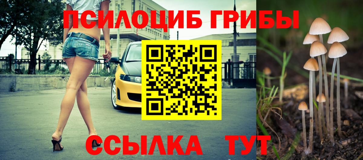 Псилоцибиновые грибы Psilocybine cubensis Александров